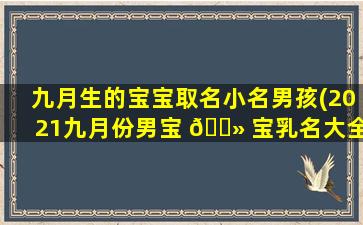 九月生的宝宝取名小名男孩(2021九月份男宝 🌻 宝乳名大全)